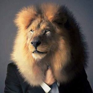 Meet your Posher, Finchy